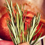 10592650_10204966905912021_826675572541578977_n